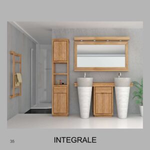 Integrale