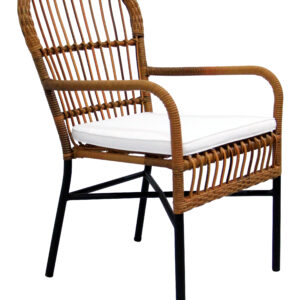 Fogo Dining Chair  6